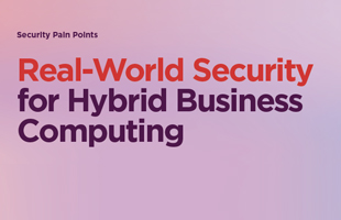 Security Pain Points