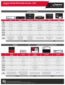infographic on Kingston SSD's