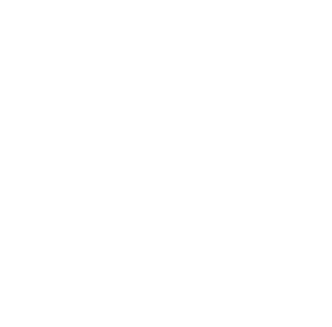 lock icon