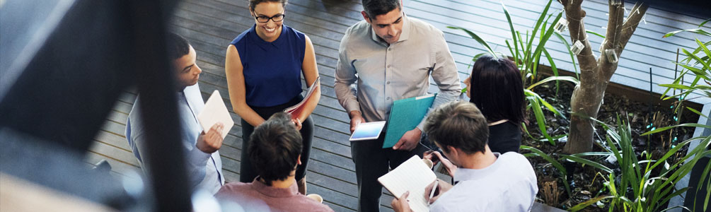 Group of professionals standing together